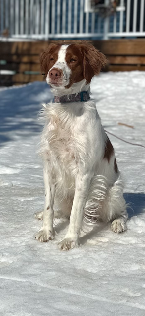 Juno