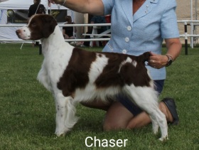 Chaser